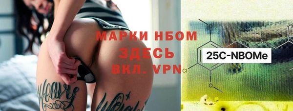 соль ск Дмитриев
