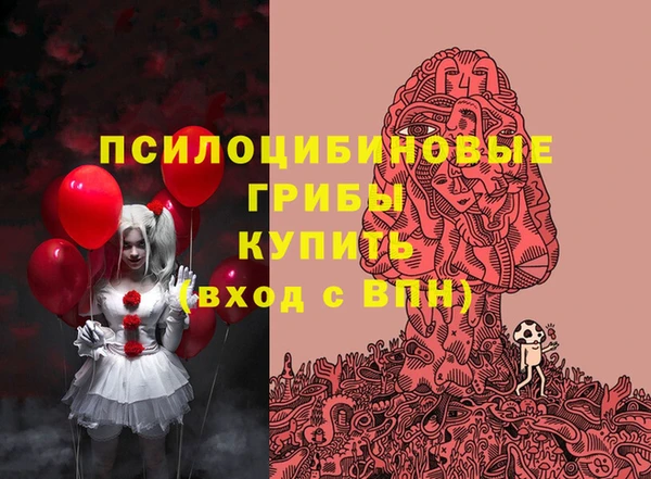 соль ск Дмитриев