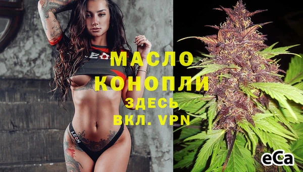 соль ск Дмитриев