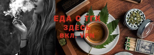 соль ск Дмитриев